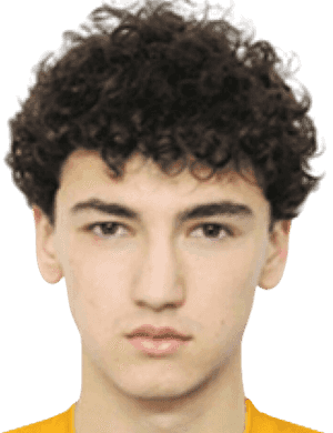 Andrei sosnovschi
