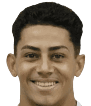 Vinicius Rodrigues Adelino Dos Santos
