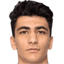 Amirmohammad Razaghinia