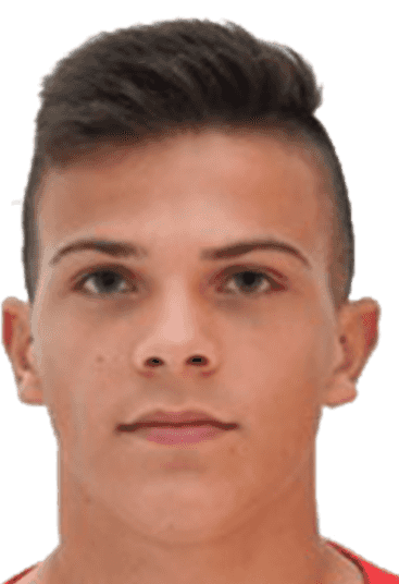 leonardo petrovic