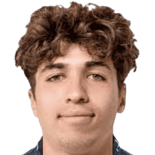 Mihai Lupan