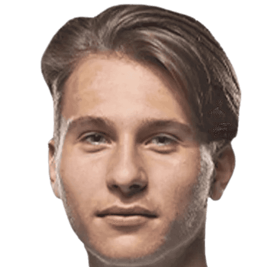 Fedor lebedev