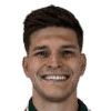 Pedro Henrique Perotti