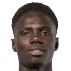 Cheikh Fall