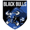 Black Bulls