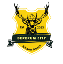 Berekum City