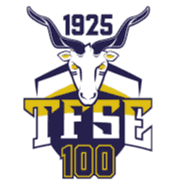 TFSE Budapest